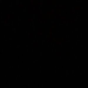 Meet your Posher, Nina